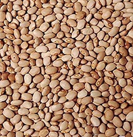 Brown Nigerian Beans (Drum) – 1Kg