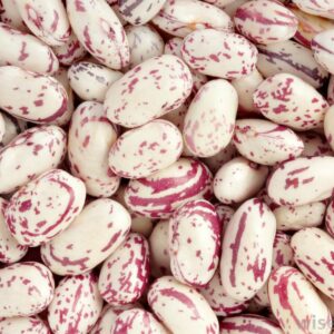 Cranberry Beans 550GM