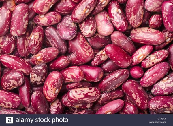 Red speckled beans - kg