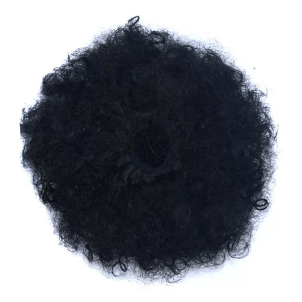 Afro Puff Wig