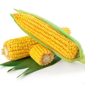 African Corn