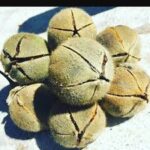 Goron Tula Nuts